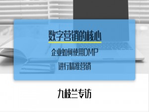 一枝兰专访：数字营销的核心—企业如何使用数据管理平台（DMP）进行精准营销