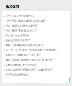 一枝兰专访：数字营销的核心—企业如何使用数据管理平台（DMP）进行精准营销